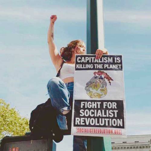 IMT-stellingen over klimaatverandering